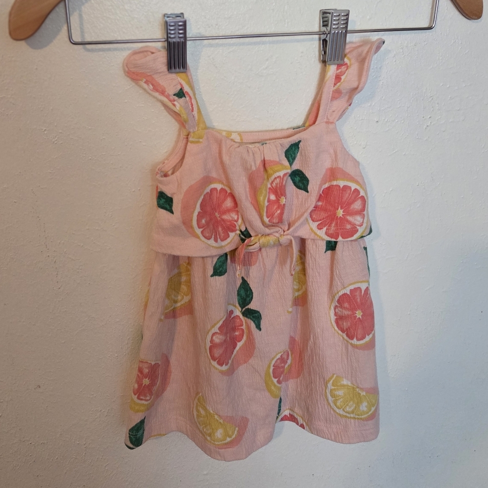 Carter's Pink Dress with Citrus Accents